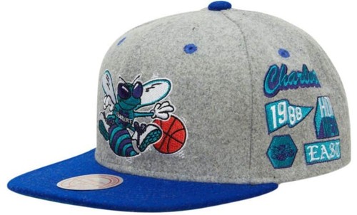 Mitchell ness charlotte - mitchell,