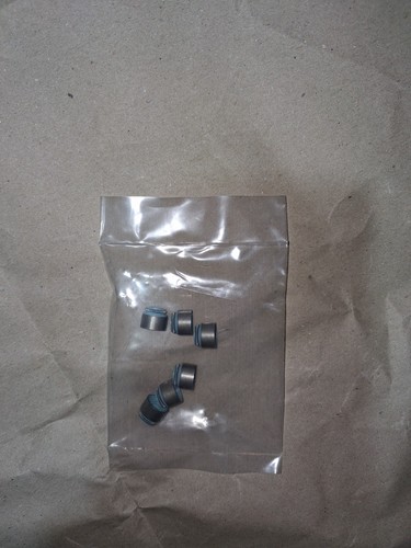 Paraoli stelo valvola - (6pz),
