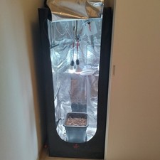 grow box completo