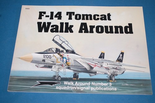 Tomcat walk around - walk,