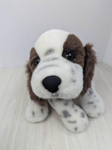Peluche dakin inglese - inglese, springer
