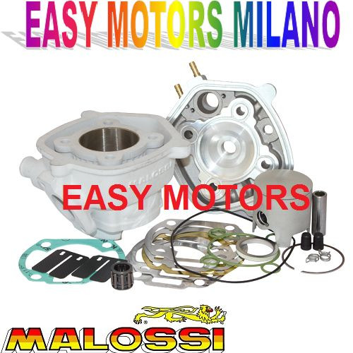 318460 gruppo termico malossi - 318460,