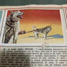 FIGURINA N.39 LA VERA STORIA