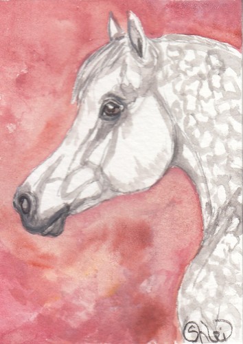 Aceo originale acquerello arte - aceo,