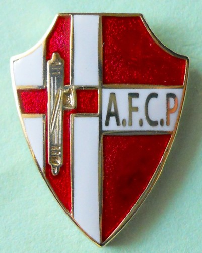Distintivo spilla pin badge - distintivo,