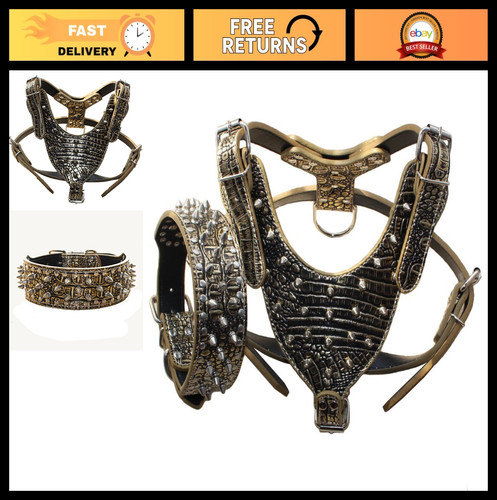 Set collari imbracatura - imbracatura, per