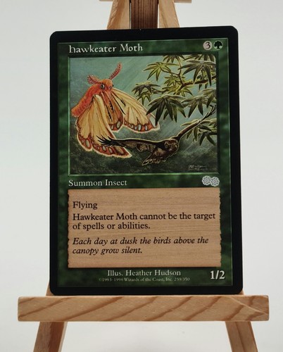 Carta magic hawkeater moth - carta,