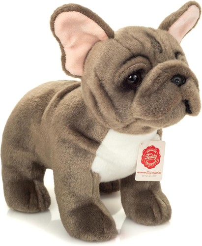 Teddy hermann bulldog - bulldog, francese