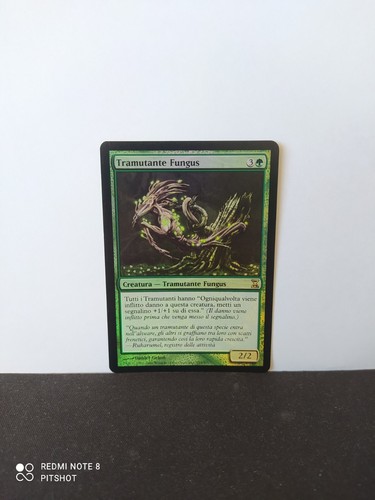 Foil fungo tramutante fungus - foil, /
