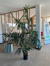 Palma Artificiale di differenti altezze