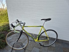 Carrera Podium Tg 54 Telaio