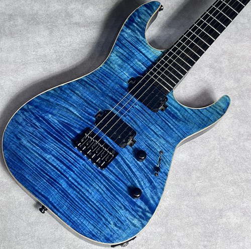 Edwards ctm kakogawa - edwards, e-m-ii
