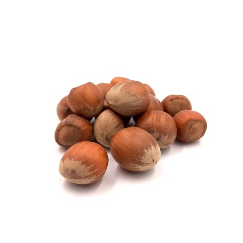 Nocciole guscio dei - in, nebrodi