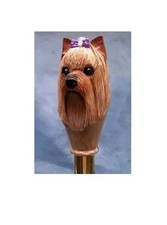 Dog Yorkshire handle hand