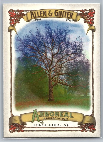 2021 topps allen - &, ginter