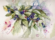 Original watercolor - Acquerello originale " Mirtilli"