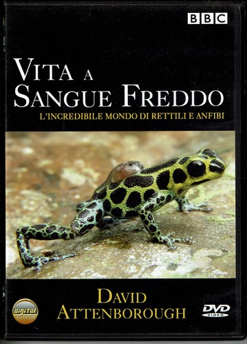 Dvd vita sangue freddo - dvd, la