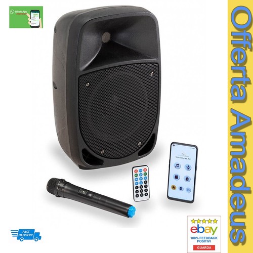 Cassa amplificata karaoke - cassa,