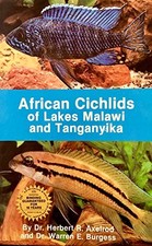 African Cichlids of Lakes