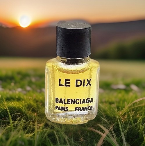 Dix di balenciaga micro - "le, dix"