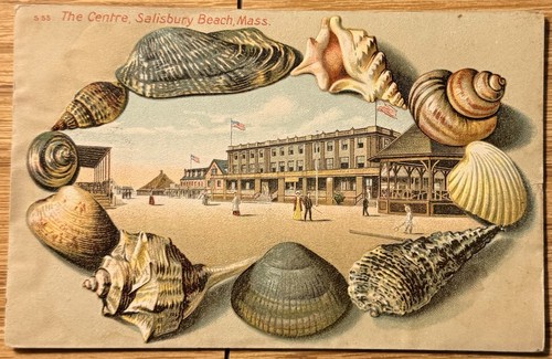 1907 salisbury beach - 1907,