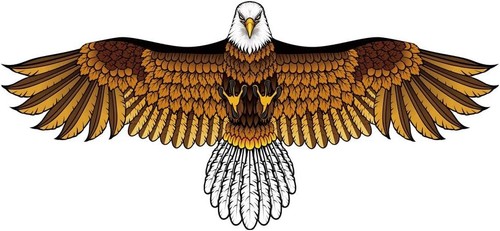 Aquilone aquila calva - aquilone,