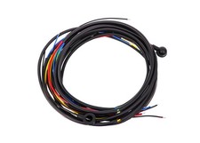 Cablaggio per HOREX Regina