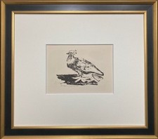 Litografia Pablo Picasso