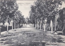 BARBARANO ROMANO: Viale 4