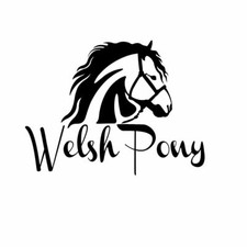 Adesivo decalcomania cavalli