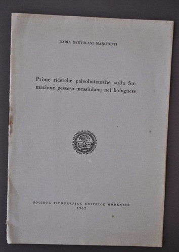 Paleobotanica legno marchetti - legno,