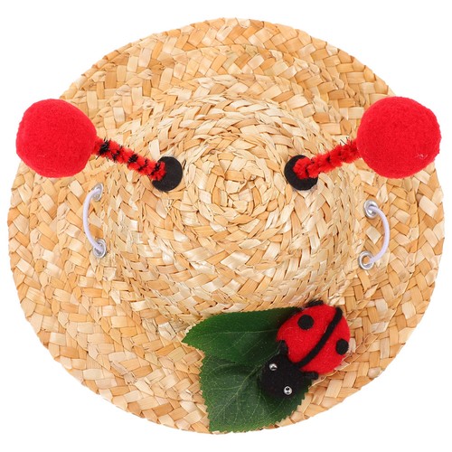 Cappello gatto accessori per - cappello,