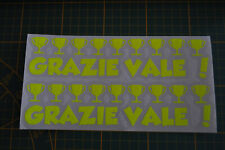  2 STICKERS FLUO GRAZIE VALE