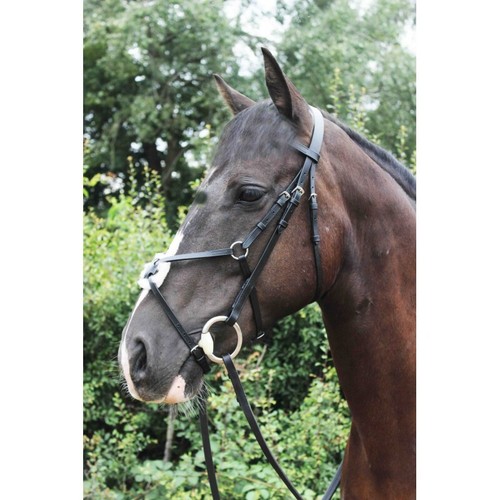 Briglia grackle messicana con - briglia,