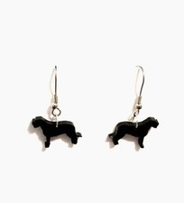 Irlandese Levriero Cane