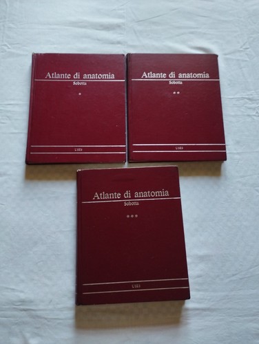 Atlante anatomia volume 1 - di,