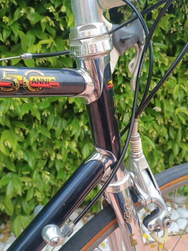 1983 vintage daccordi - 1983,