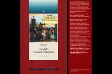 NARRATIVA / VOLTAIRE –