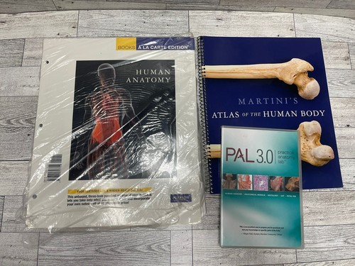 Human anatomy books la - human, a