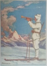 CARTOLINA 1 DIVISIONE ALPINA