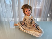 Tartaruga bambola da