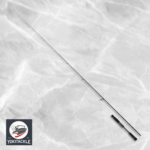 Asta daiwa steez shore - steez,