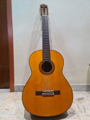 Chitarra classica con borsa