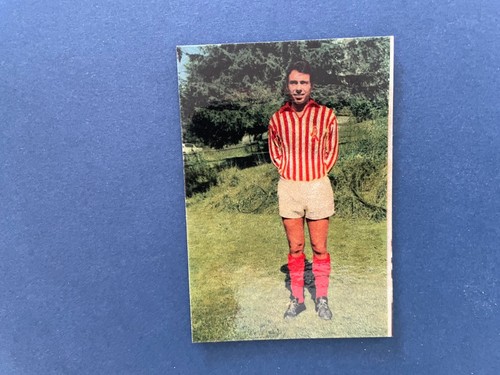 Edizione patuzzi vicenza - patuzzi,