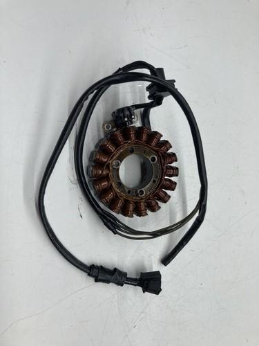Statore alternatore magnete - statore,