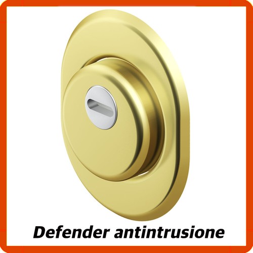 Defender disec serratura porta - serratura,
