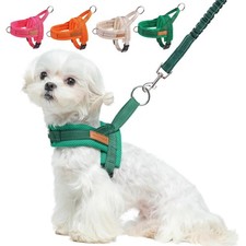 Imbracatura per cani - imbracatura,