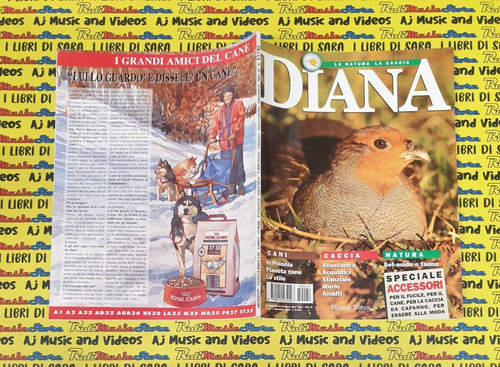 Rivista magazine diana - rivista, la