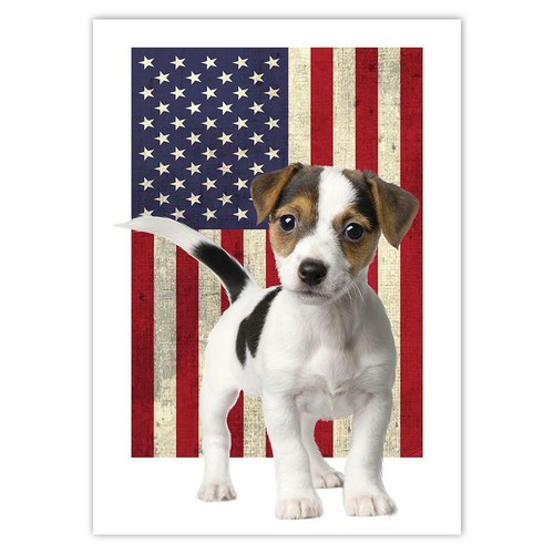 Adesivo regalo jack russell - jack,