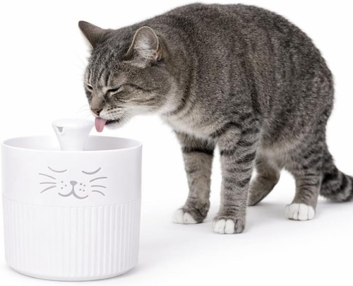 Fontanella per gatti - per,